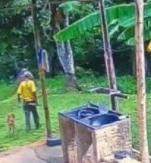 Caseiro teria sido morto por onça; pedaços do corpo são encontrados