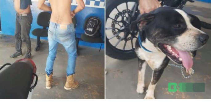 Animal vítima de zoofilia por morador de rua é espancado por 2 homens