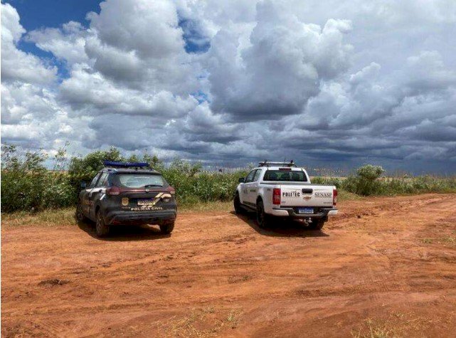 Jovem trans é decapitada e desovada em lavoura no interior de Mato Grosso