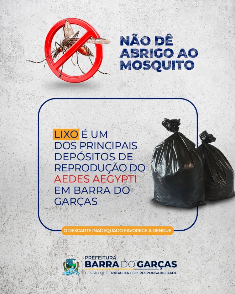 Lixo está entre os depósitos mais comuns de reprodução do Aedes aegypti, em Barra do Garças